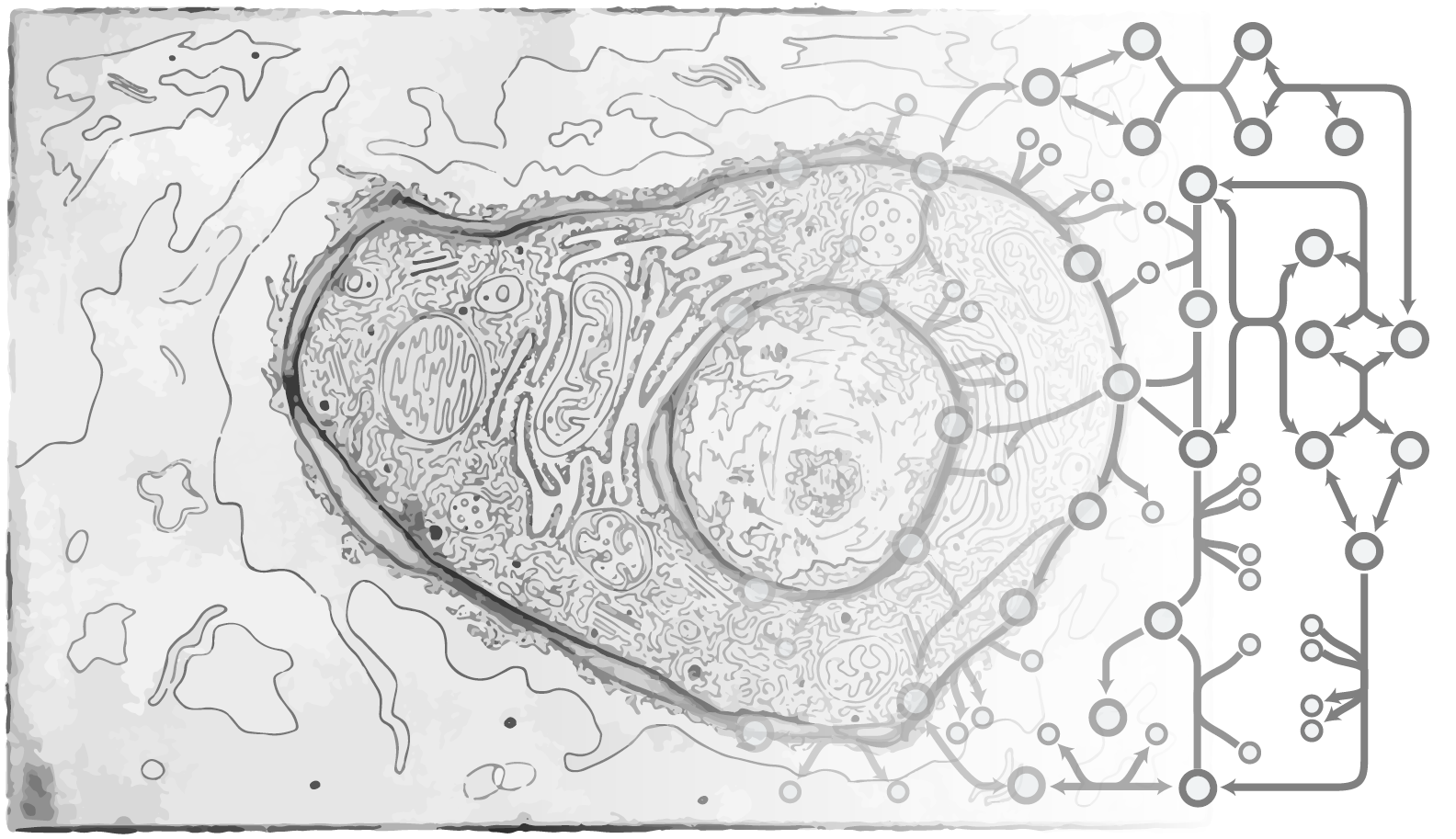 Publications Systems Biology And Cell Engineering